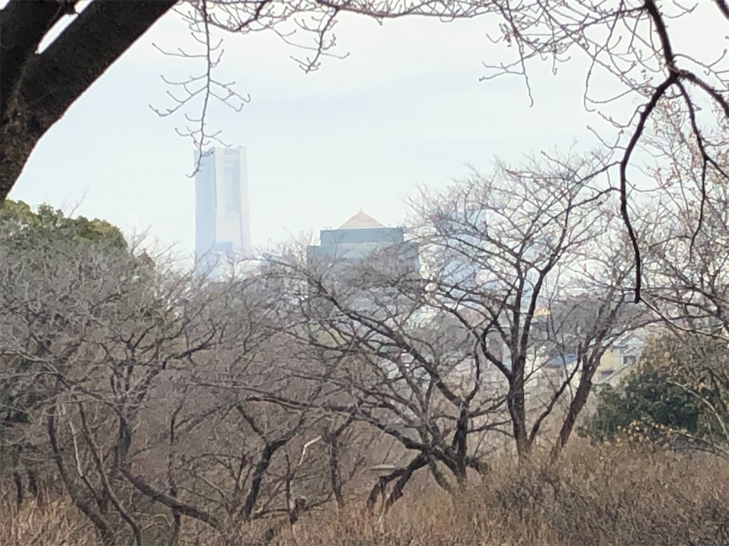 f:id:epokopoko:20201229155500j:image