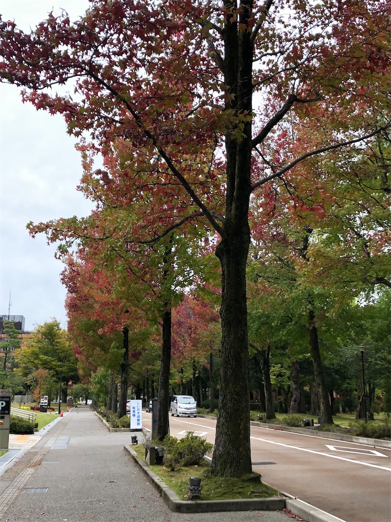 f:id:epokopoko:20210102215506j:image