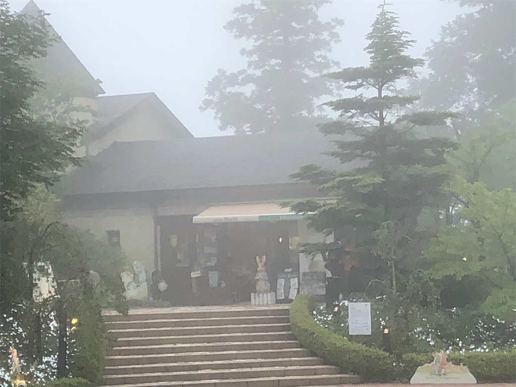 f:id:epokopoko:20210305074838j:image