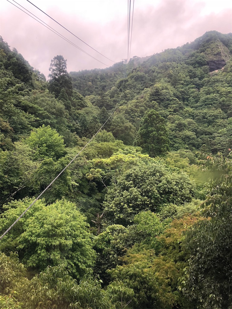 f:id:epokopoko:20210305074855j:image