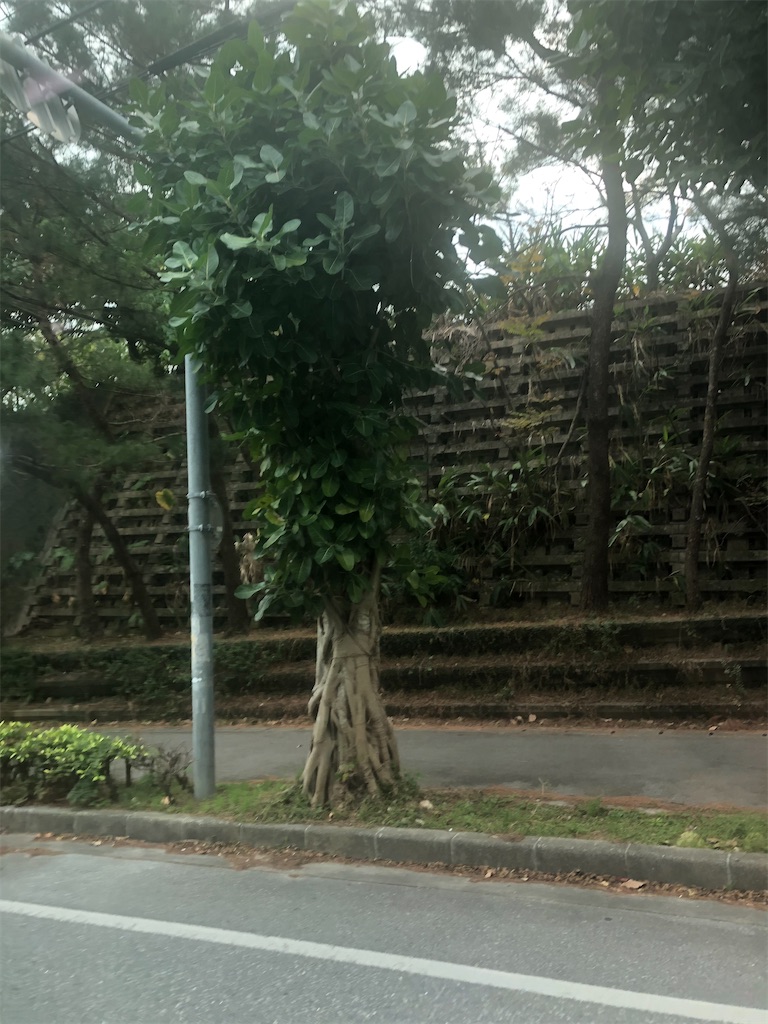 f:id:epokopoko:20210521211016j:image