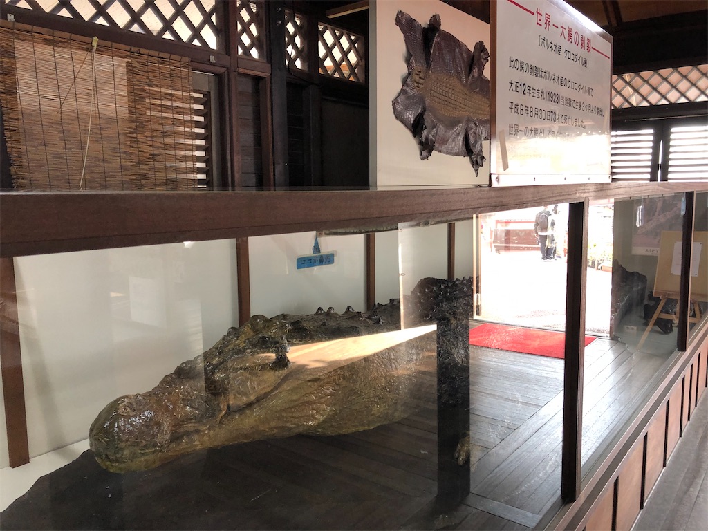 f:id:epokopoko:20210719185715j:image f:id:epokopoko:20210719185715j:image