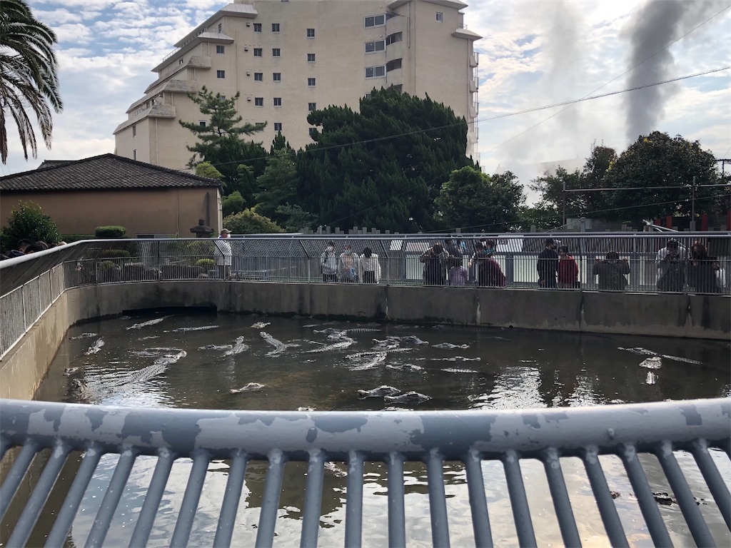 f:id:epokopoko:20210719185805j:image f:id:epokopoko:20210719185805j:image