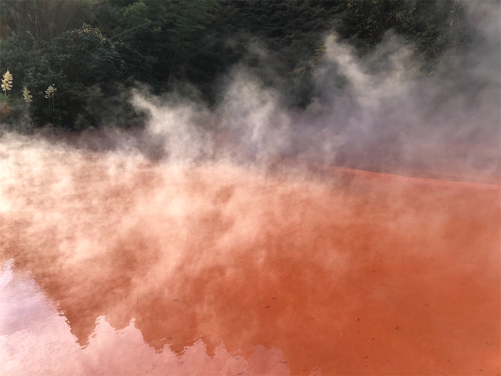 f:id:epokopoko:20210719190610j:image f:id:epokopoko:20210719190610j:image