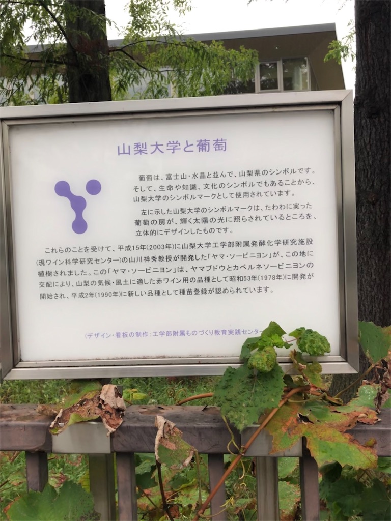 f:id:epokopoko:20210812200524j:image f:id:epokopoko:20210812200524j:image