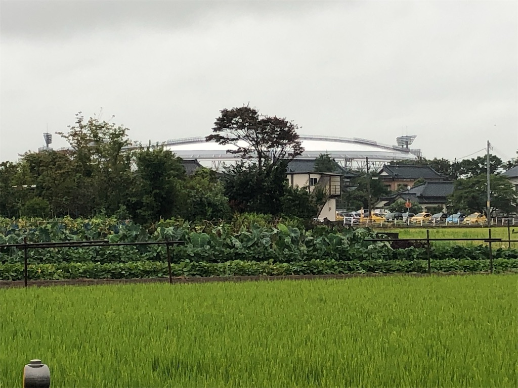 f:id:epokopoko:20210815202202j:image