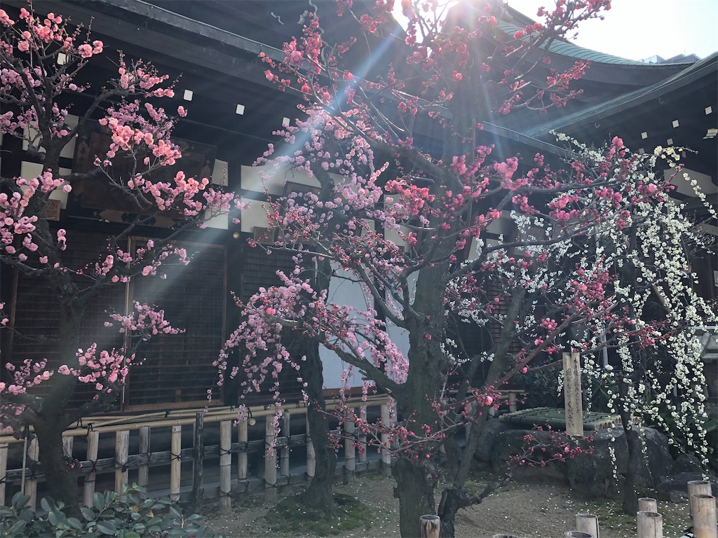 f:id:epokopoko:20210828085932j:image