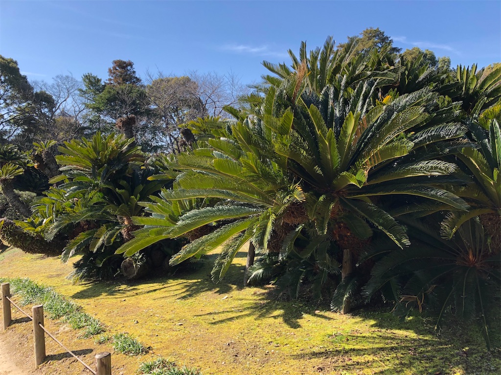 f:id:epokopoko:20211029103454j:image