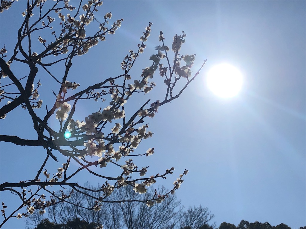 f:id:epokopoko:20211029103458j:image