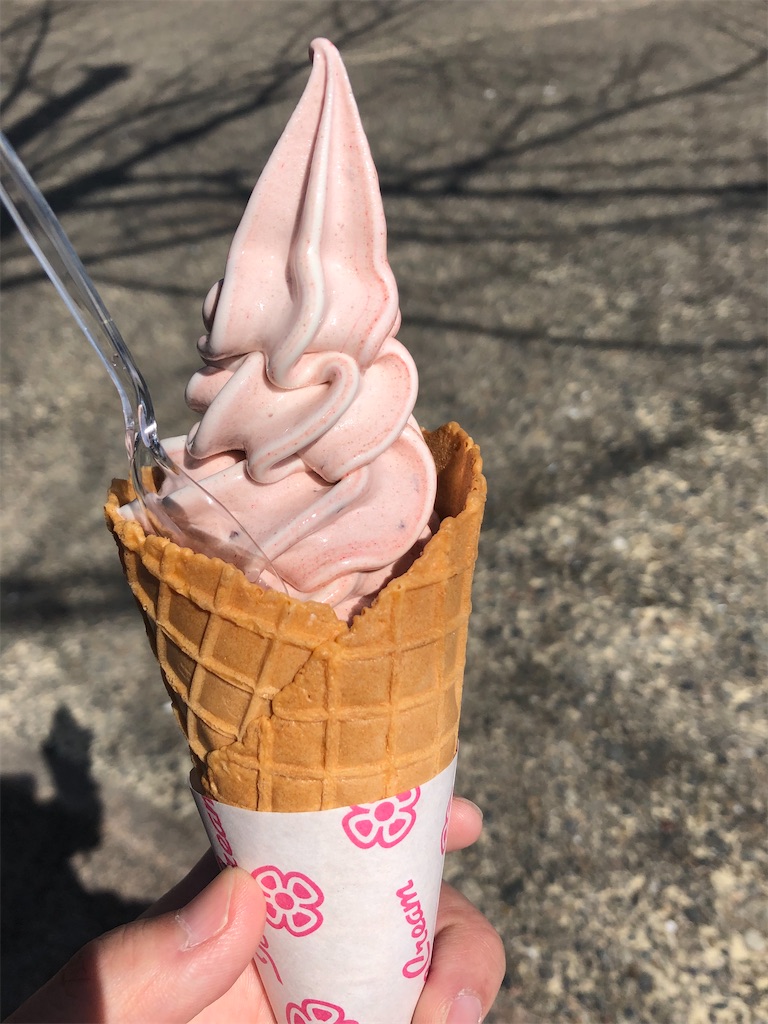 f:id:epokopoko:20211029103512j:image