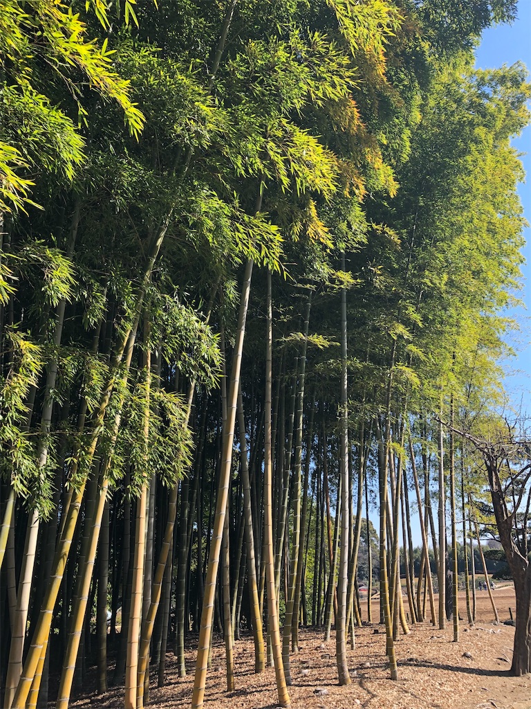 f:id:epokopoko:20211029103811j:image