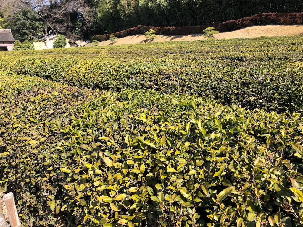 f:id:epokopoko:20211029103907j:image