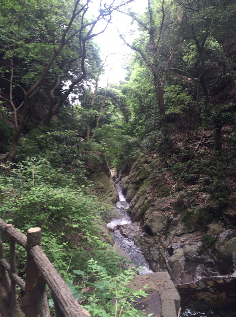 f:id:epokopoko:20211109203050j:image