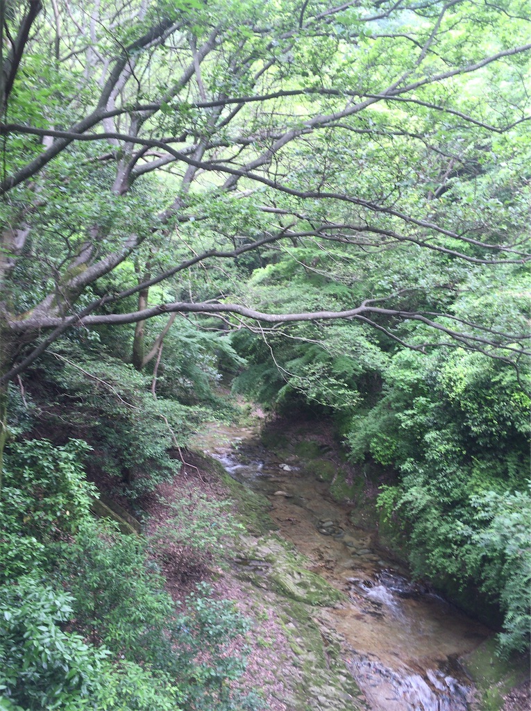 f:id:epokopoko:20211109203302j:image