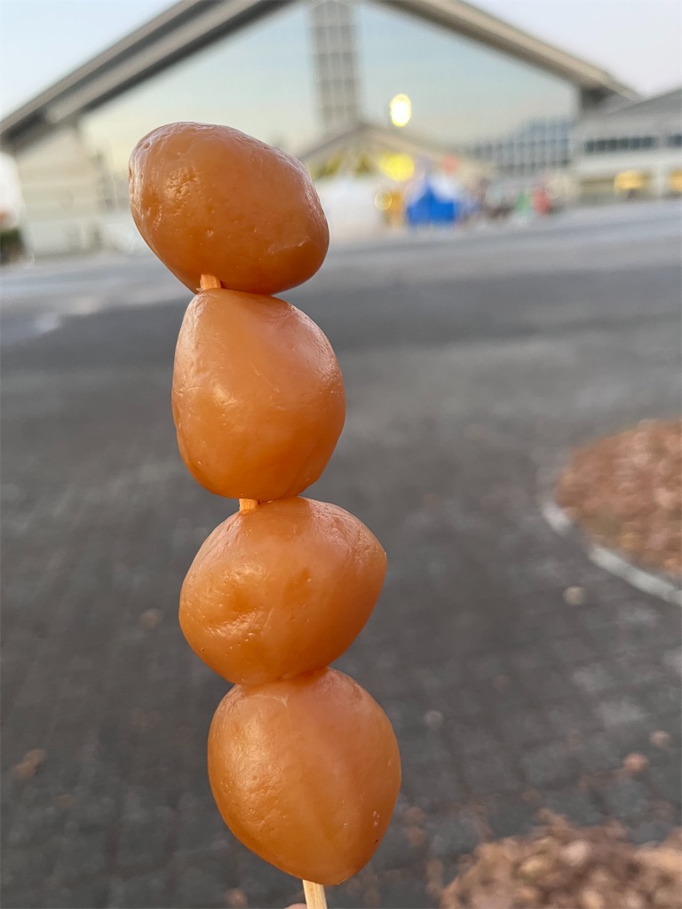 f:id:epokopoko:20211123110218j:image f:id:epokopoko:20211123110218j:image