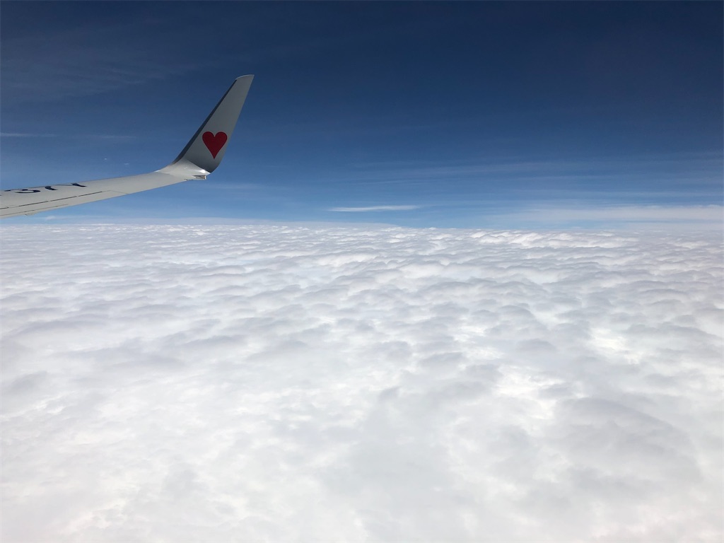 f:id:epokopoko:20211208171317j:image f:id:epokopoko:20211208171317j:image