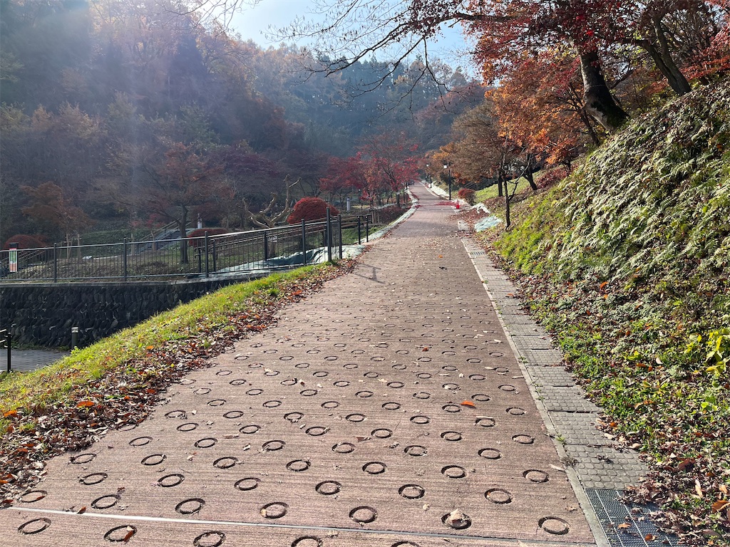 f:id:epokopoko:20220219193422j:image