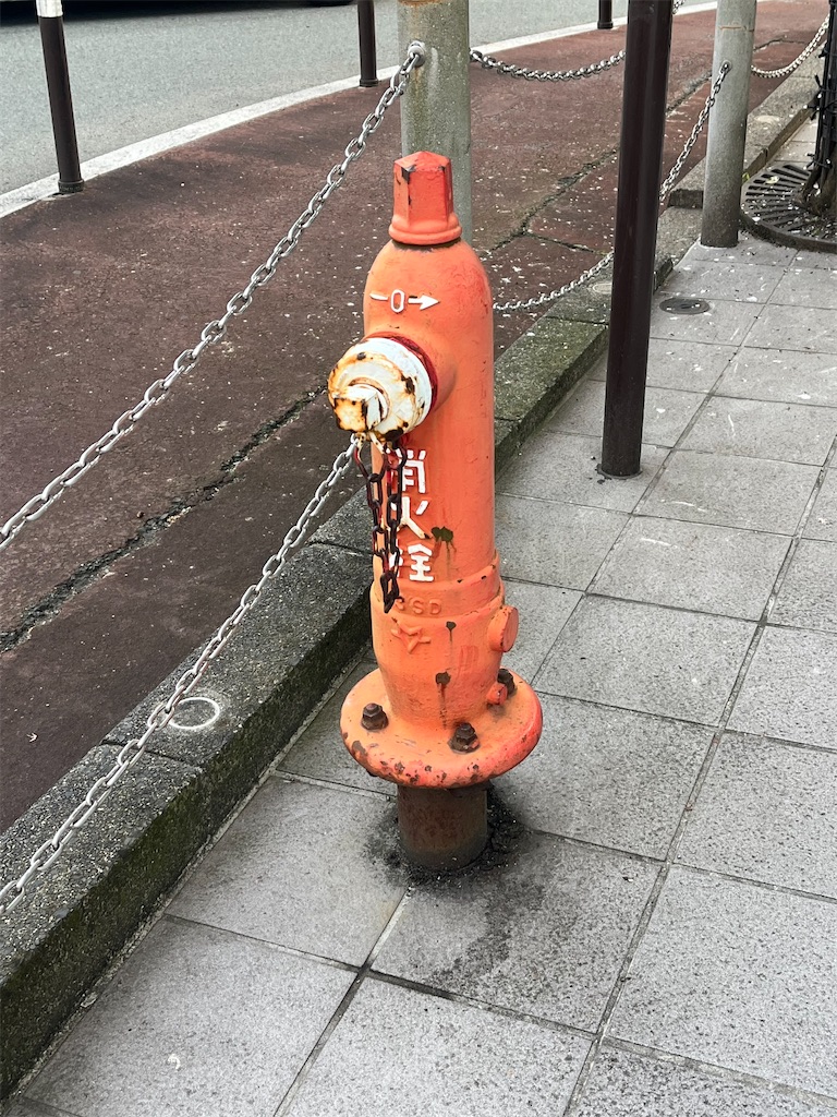 f:id:epokopoko:20220219193425j:image