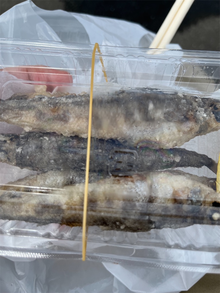 f:id:epokopoko:20220716222215j:image