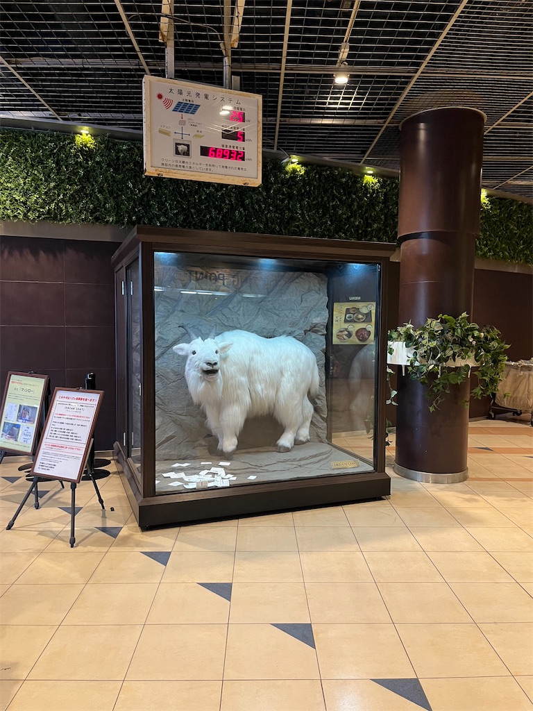 f:id:epokopoko:20220730164418j:image f:id:epokopoko:20220730164418j:image