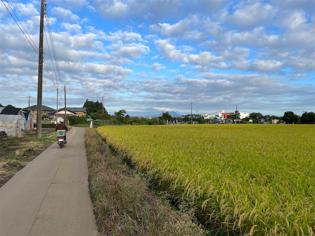 f:id:epokopoko:20220903192912j:image f:id:epokopoko:20220903192912j:image