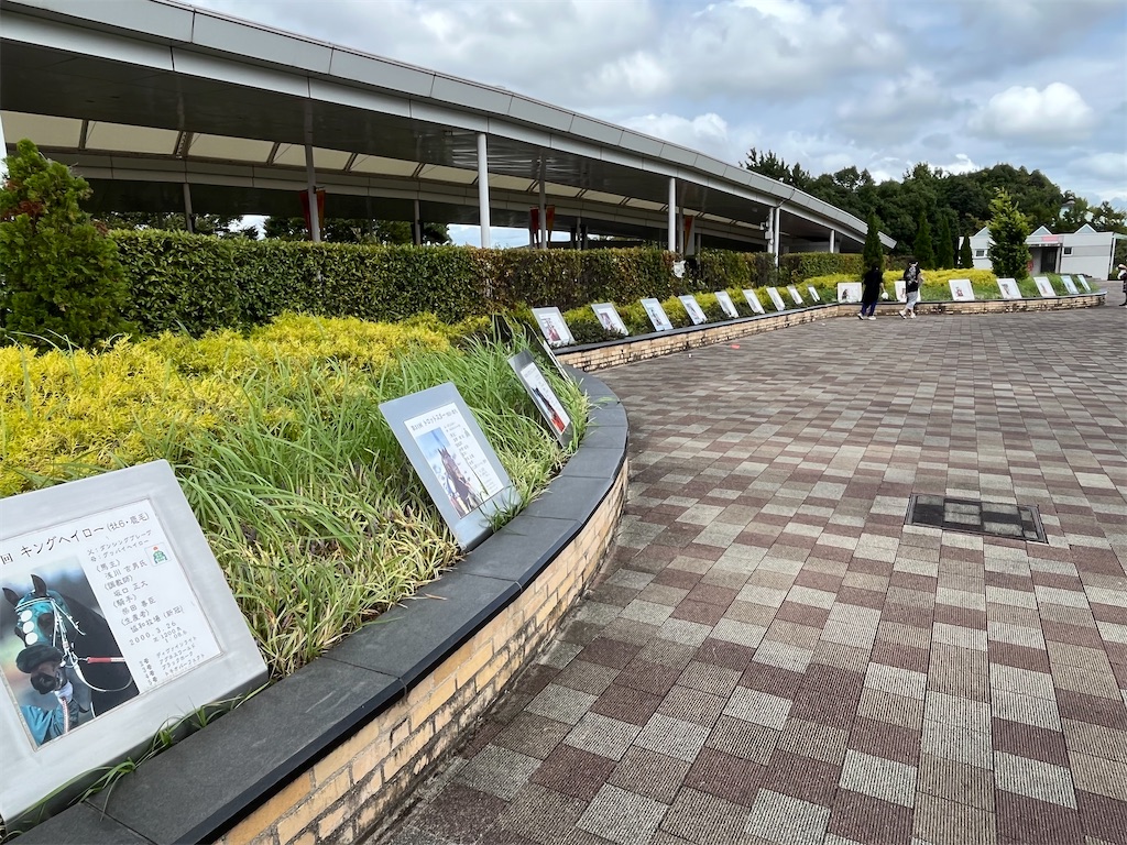 f:id:epokopoko:20220918193612j:image