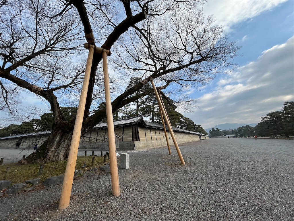 f:id:epokopoko:20230111194324j:image