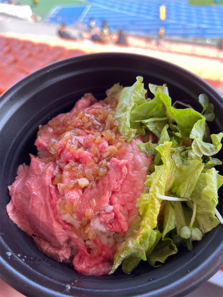 f:id:epokopoko:20230218190625j:image