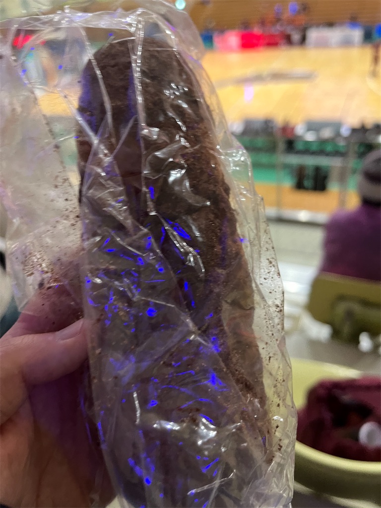 f:id:epokopoko:20230225202044j:image