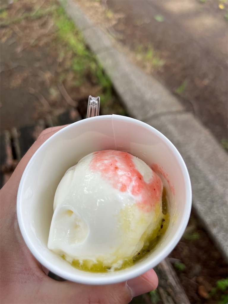 f:id:epokopoko:20230520211458j:image