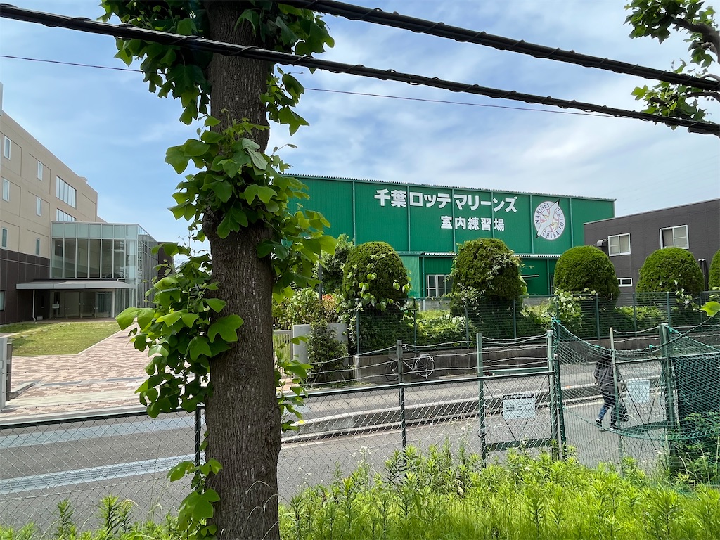 f:id:epokopoko:20230527185647j:image