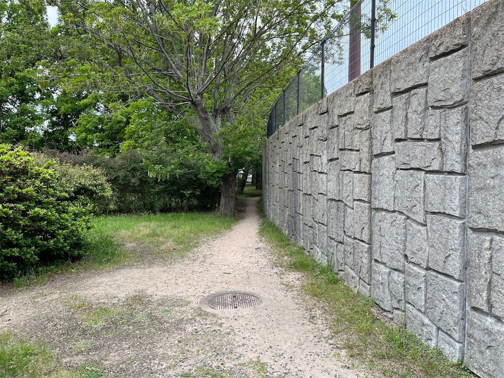 f:id:epokopoko:20230604212325j:image