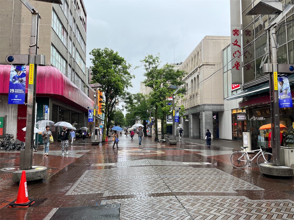 f:id:epokopoko:20230605121558j:image f:id:epokopoko:20230605121558j:image