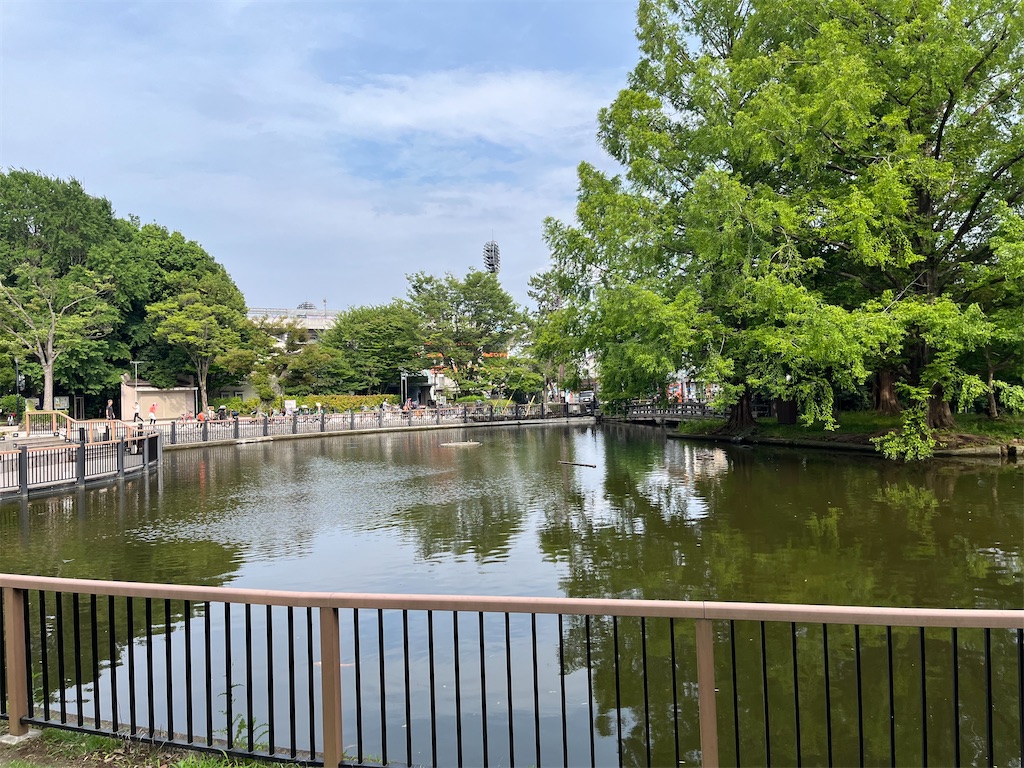 f:id:epokopoko:20230624224828j:image