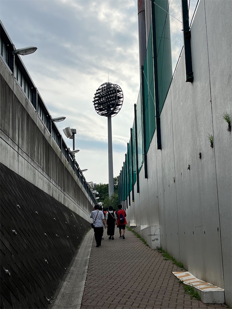 f:id:epokopoko:20230624224920j:image