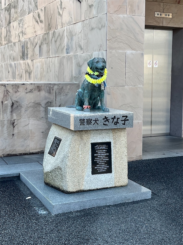 f:id:epokopoko:20230801212335j:image f:id:epokopoko:20230801212335j:image