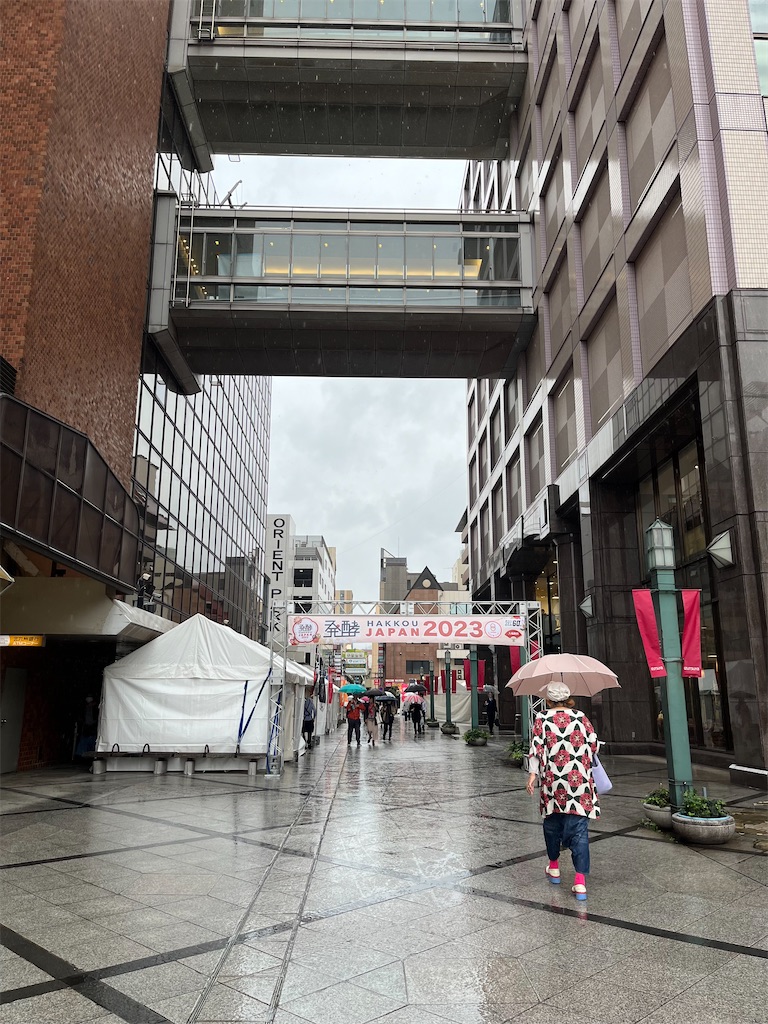 f:id:epokopoko:20231011221206j:image