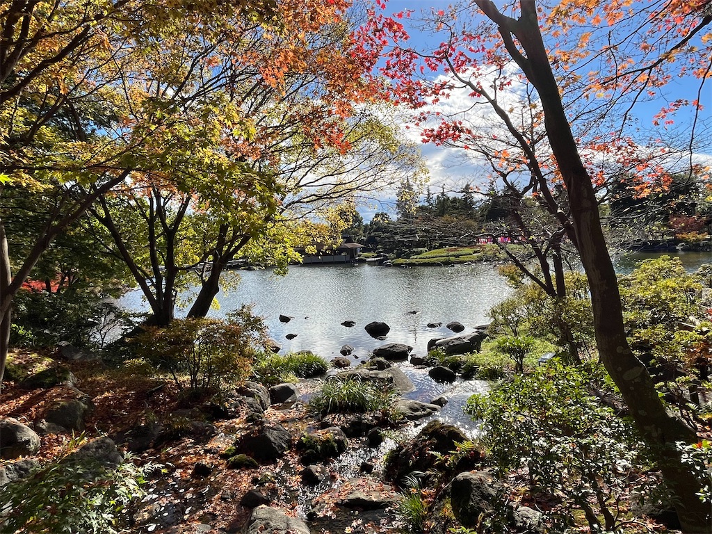 f:id:epokopoko:20231118204237j:image f:id:epokopoko:20231118204237j:image