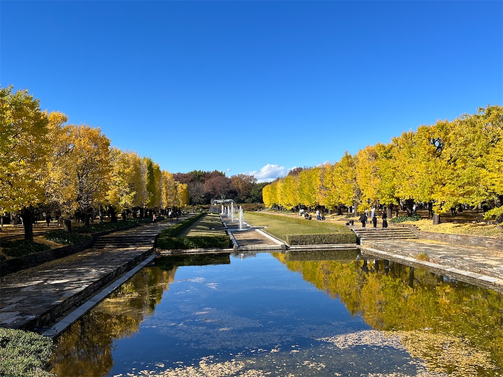 f:id:epokopoko:20231118204240j:image f:id:epokopoko:20231118204240j:image