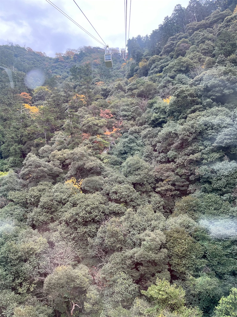 f:id:epokopoko:20231205194945j:image