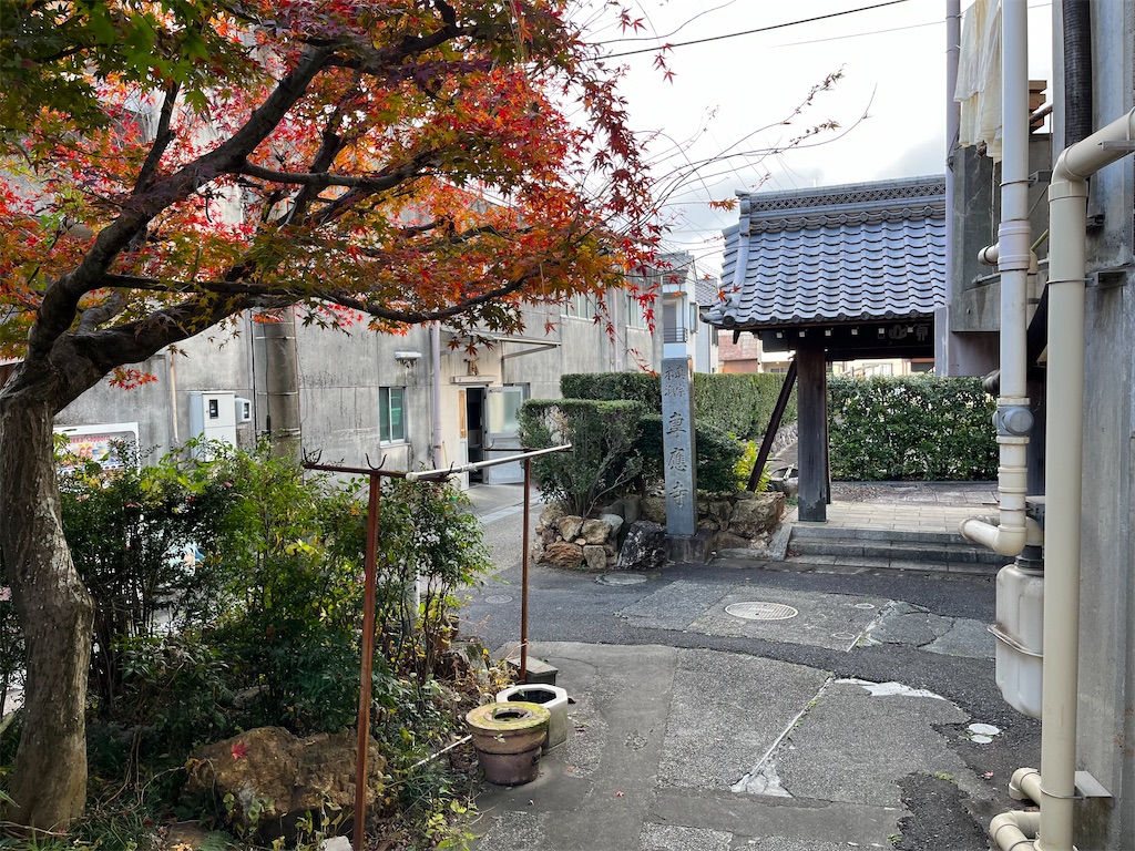 f:id:epokopoko:20231205195026j:image
