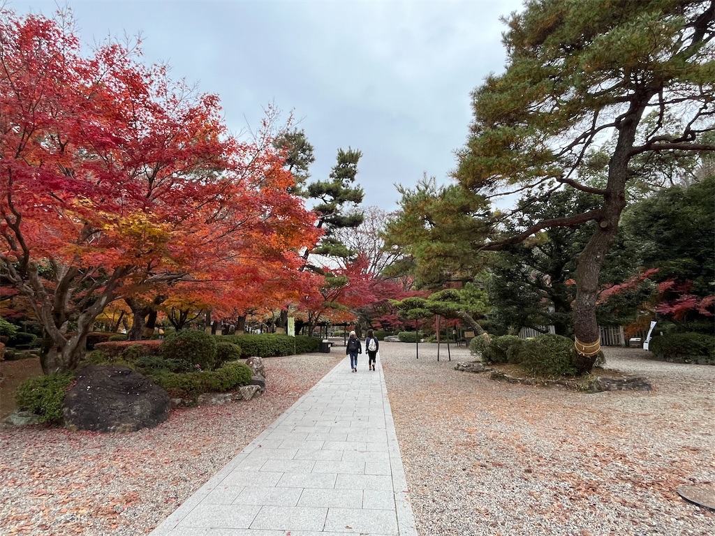 f:id:epokopoko:20231205195050j:image