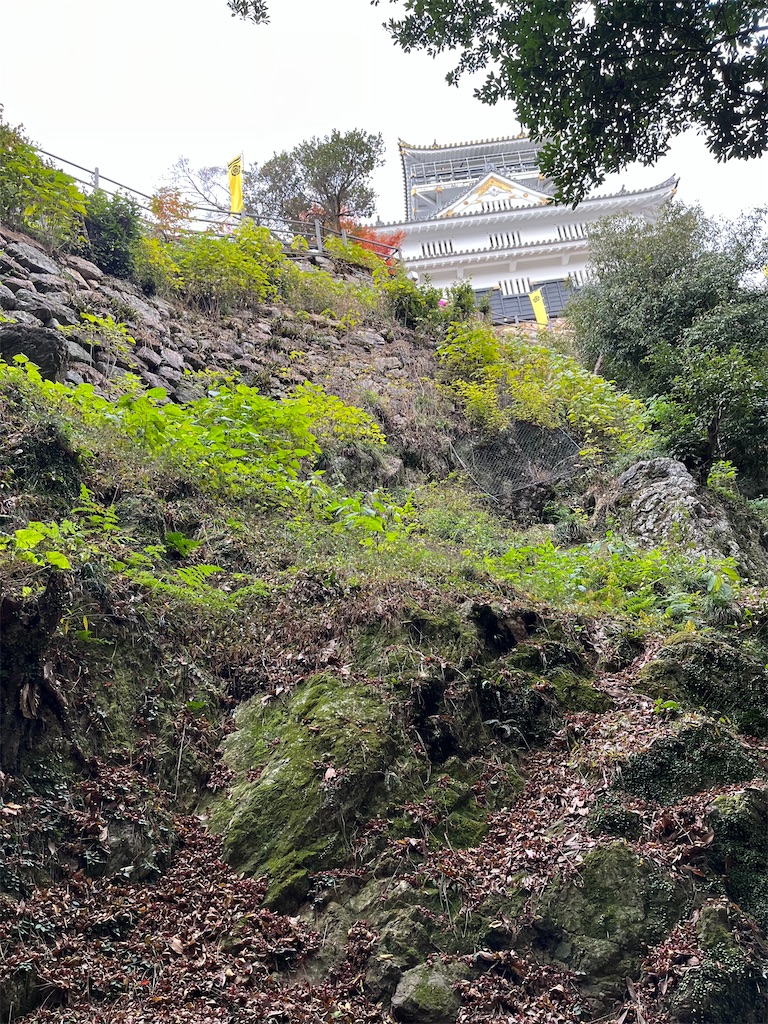 f:id:epokopoko:20231205195103j:image