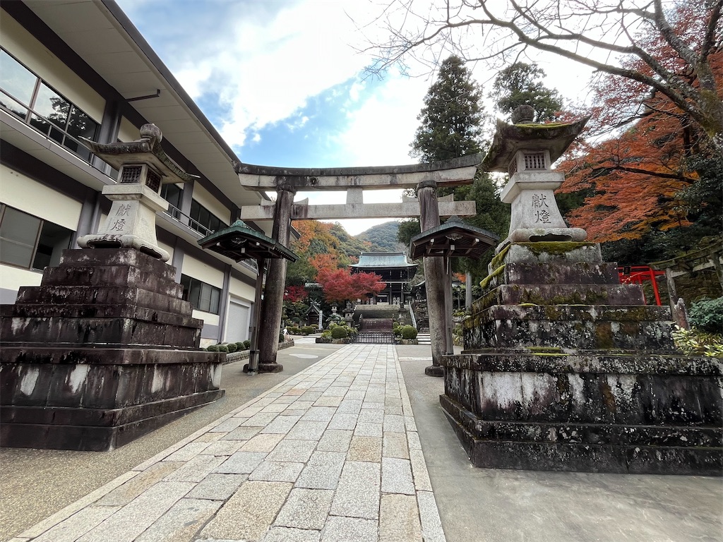 f:id:epokopoko:20231205195311j:image