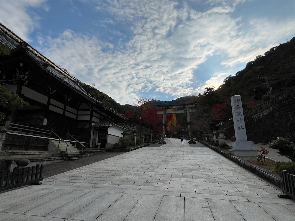 f:id:epokopoko:20231205195351j:image