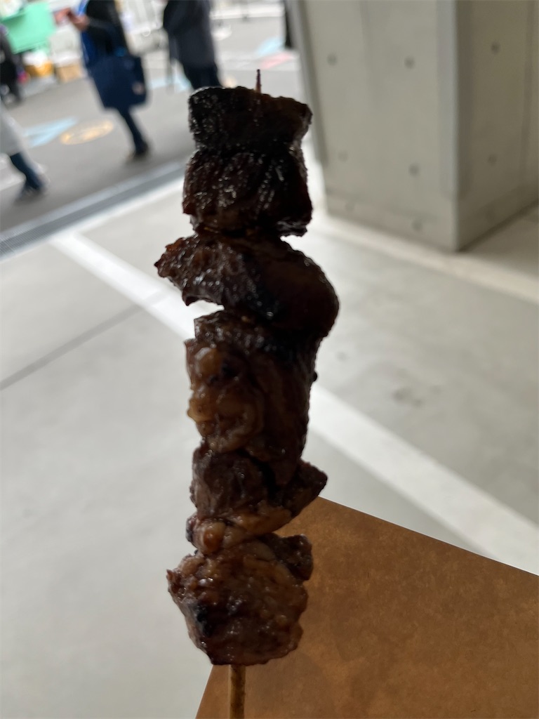 f:id:epokopoko:20240120192852j:image