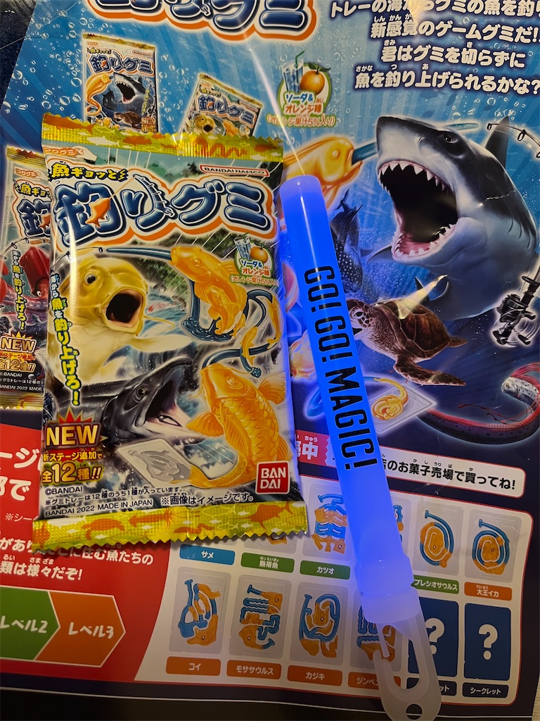 f:id:epokopoko:20240120192906j:image