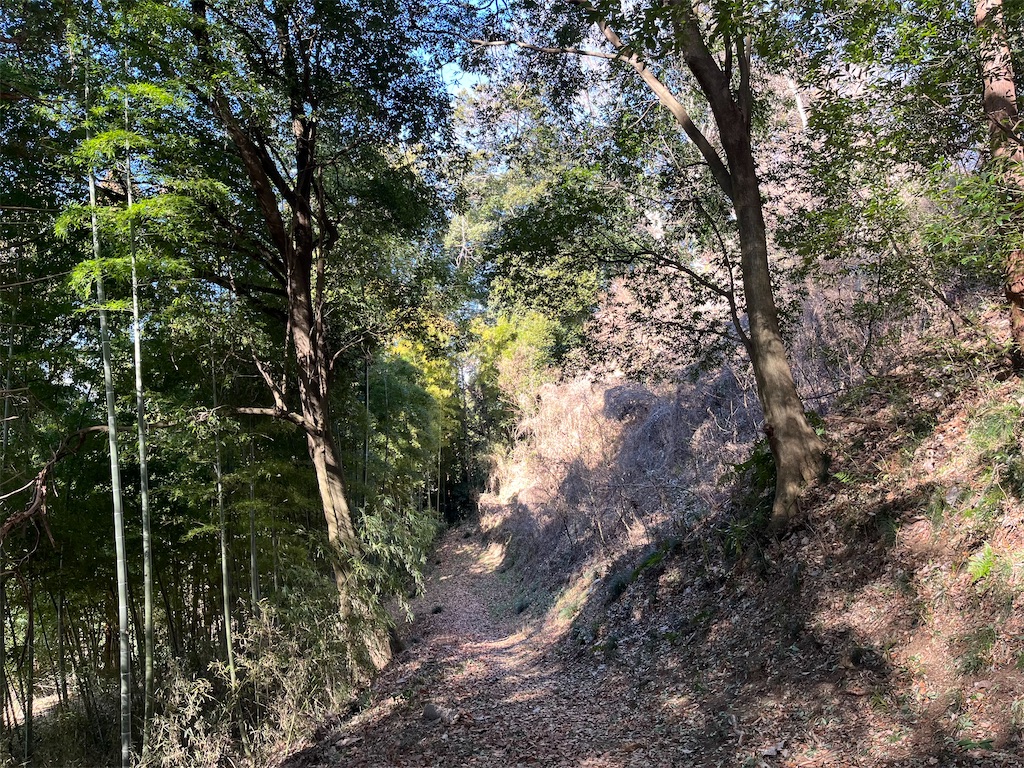 f:id:epokopoko:20240127225435j:image