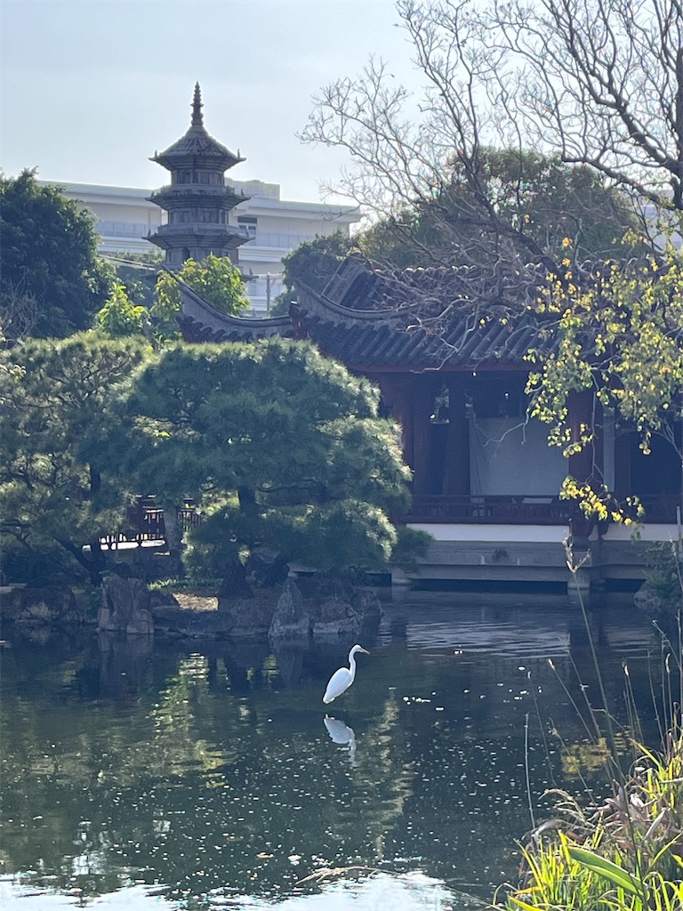 f:id:epokopoko:20240216211423j:image