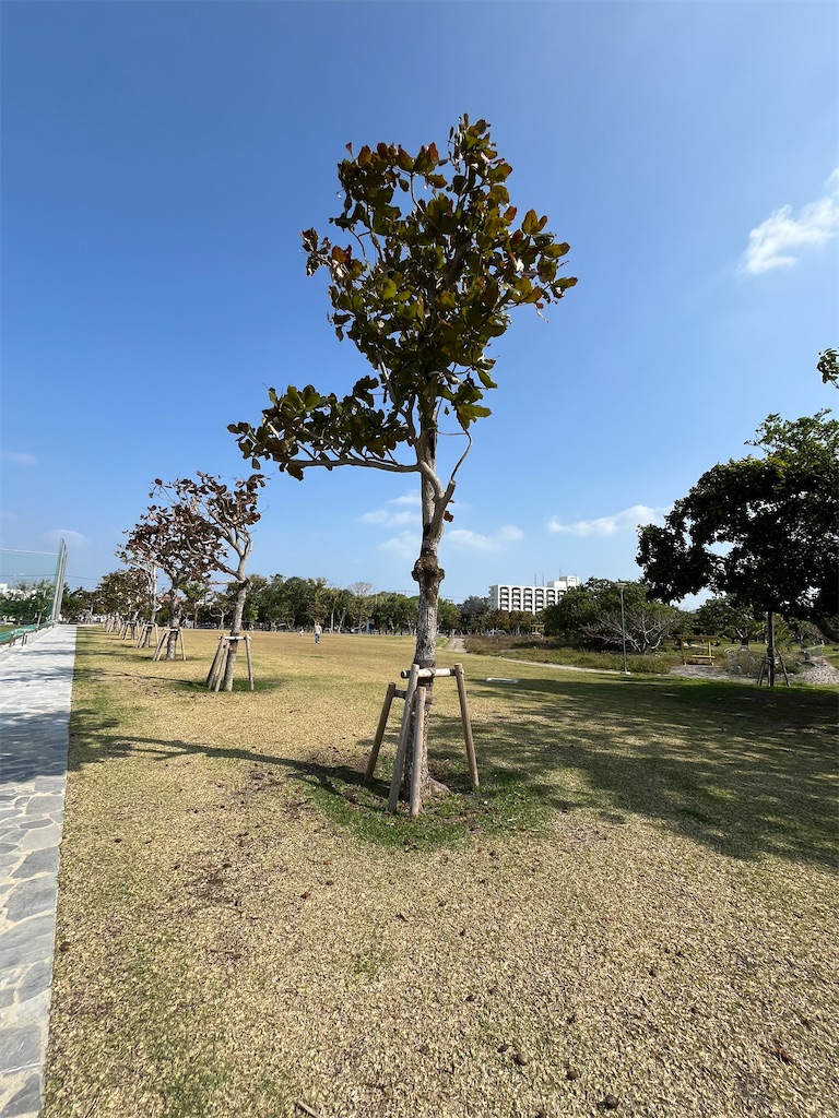 f:id:epokopoko:20240216211649j:image
